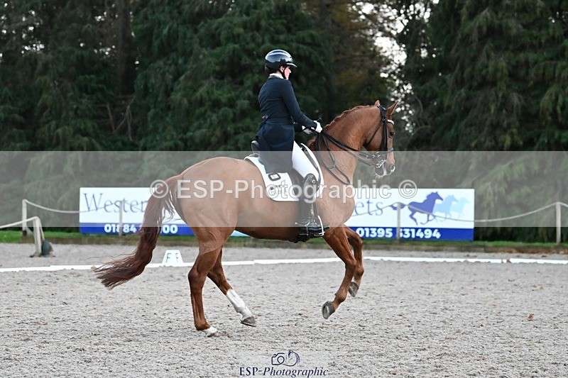 231110-164030-02730 - Cls 14 FEI Grand Prix