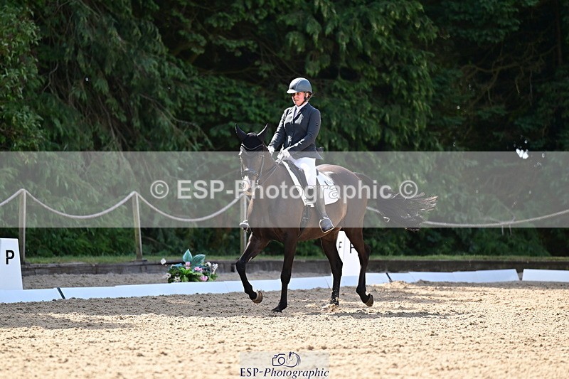 260731A-104141-00056 - Elementary Bronze 10.30 - Break