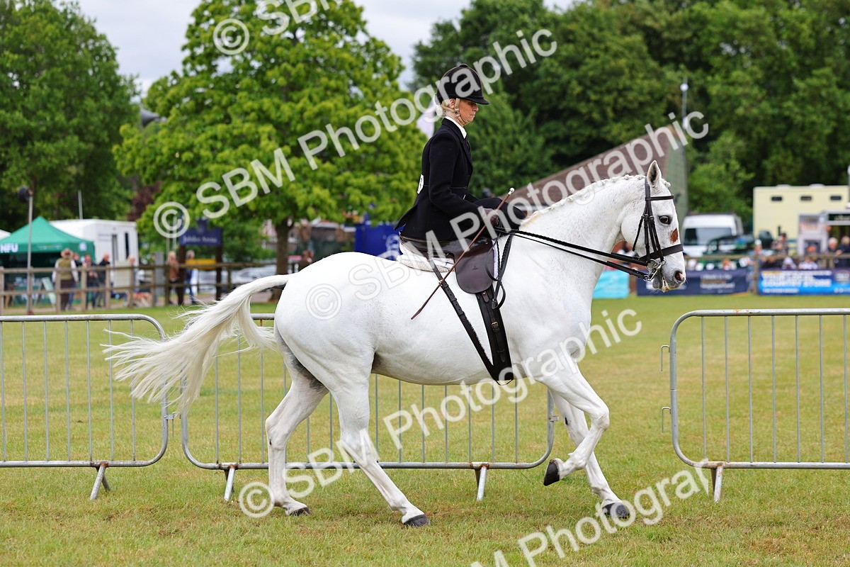 SBM_02939 - Class 9-11 Side Saddle including LIHS Rising Star Ladies Show Horse