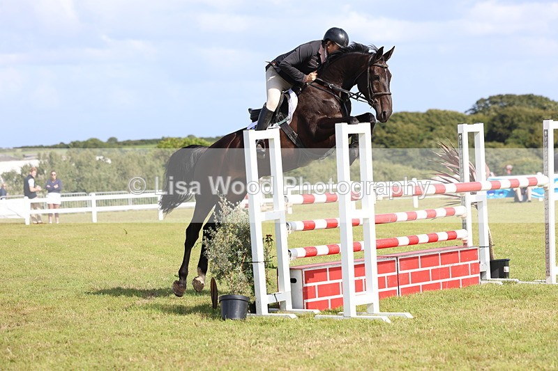3E7A3600 - Class B: Showjumping Accumulator