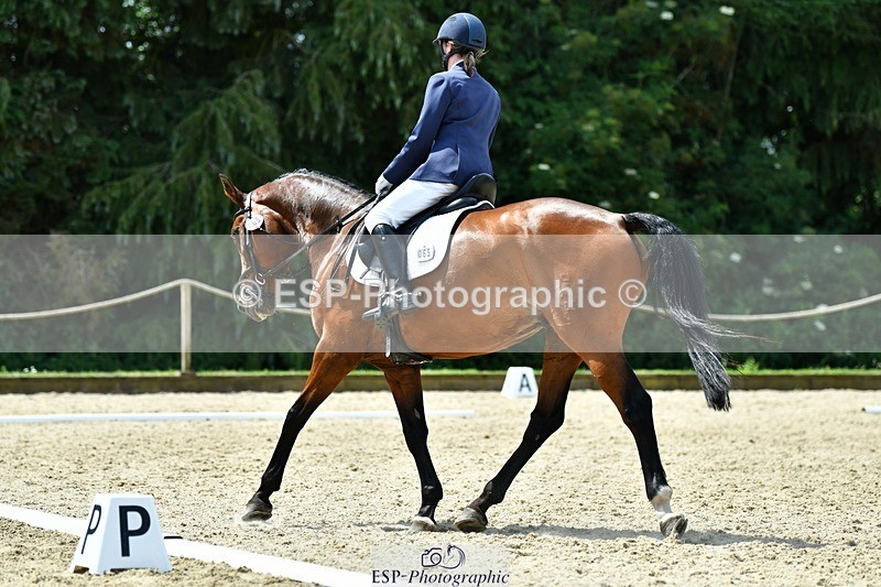 230623-115220-02143 - Cls 4 Novice 37Q Start to 12.35 break