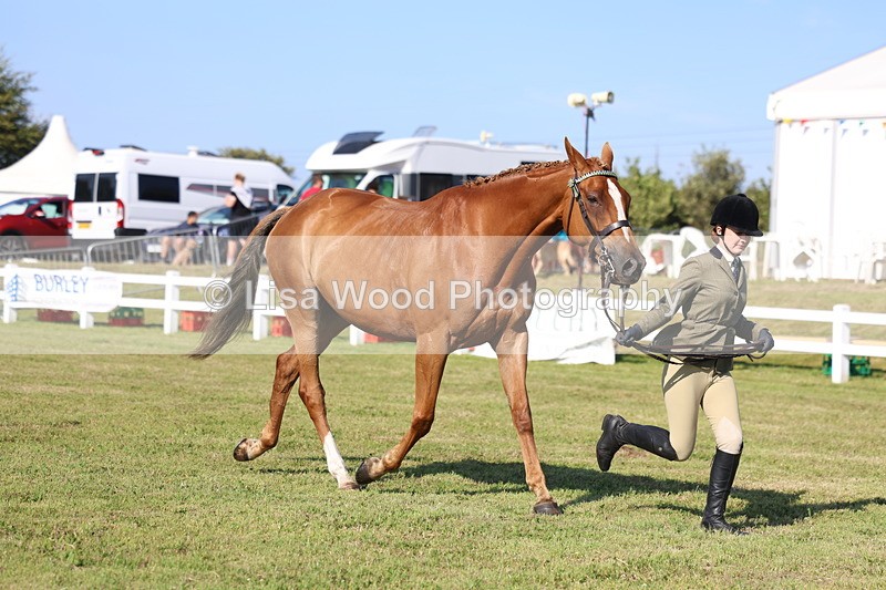 3E7A5691 - Class 2: Rising Star Large Hack/Riding Horse