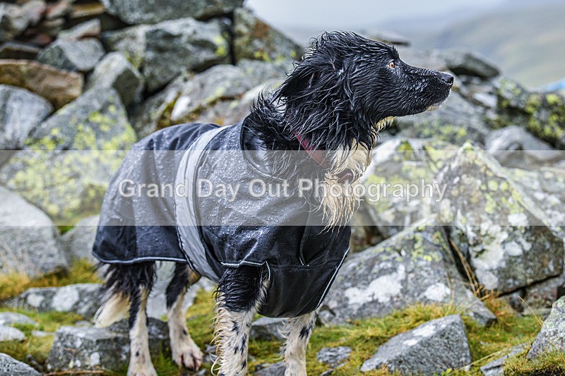 Matterdale-265 - Kong Matterdale Horseshoe Fell Race Saturday 20th August 2022