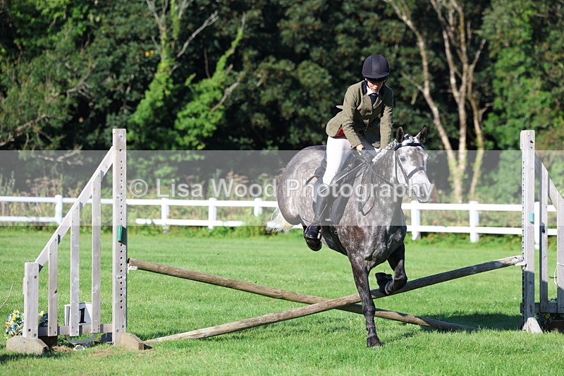 3E7A7527 - Class 1: Novice Working Hunter Pony