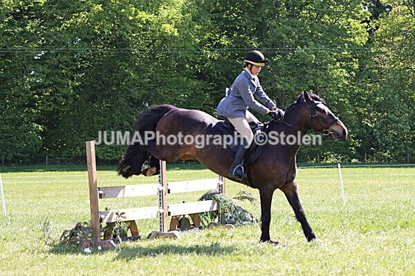 IMG_4553 - Working Hunter