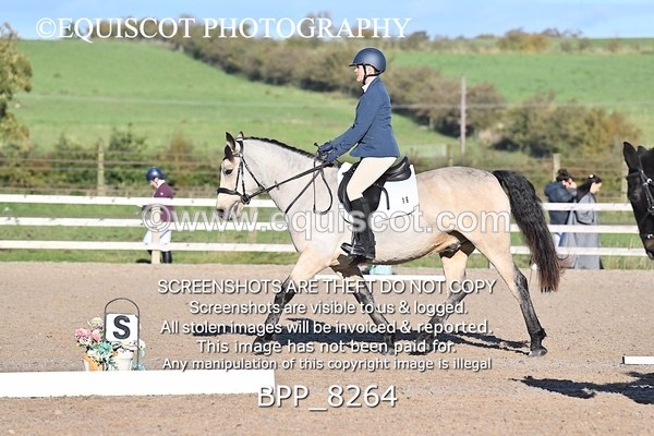 BPP_8264 - SHORT ARENA