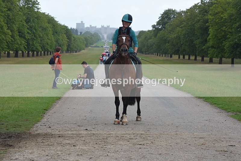 TT3_0170 - Time at Crossing 13:17 to 14:48