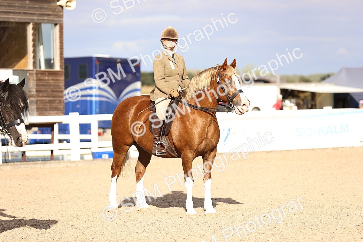 SBM_18269 - Class 423 - Equitation (best rider) Adult