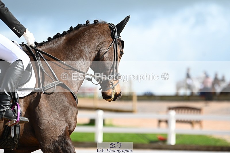 240323A-115515-01671 - DR Prelim 18