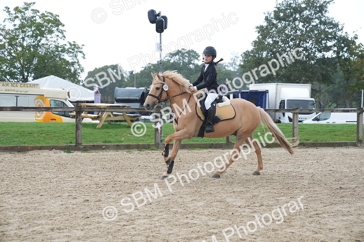 SBM_01602 - J54 - Clear Round 50cm