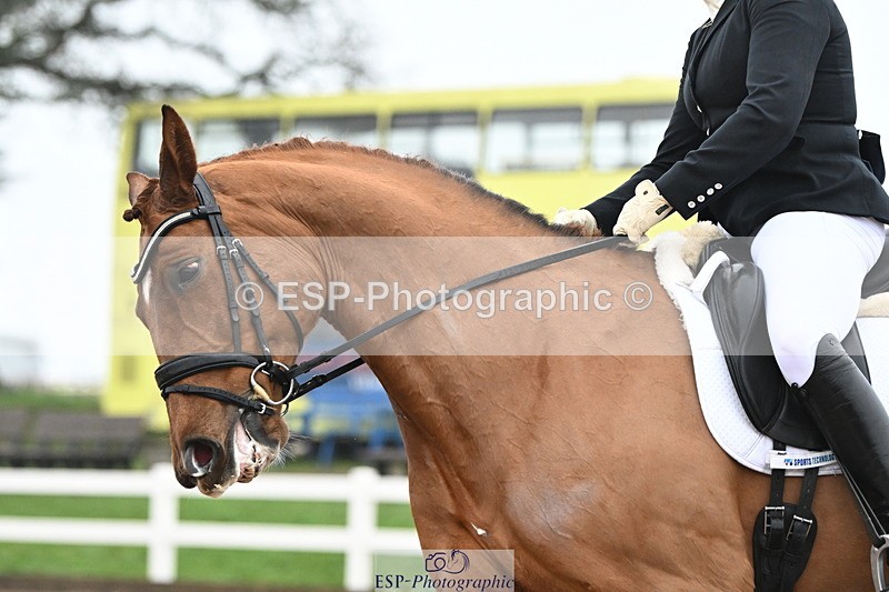 240217A-121637-02580 - 187-Victoria.Powell-W.W.Wilbur.Mac