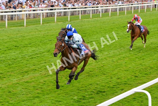170623-Race 3-Quickthorn-7051 - Race 3 3.05pm Sky Bet Race To The Ebor Grand Cup Stakes