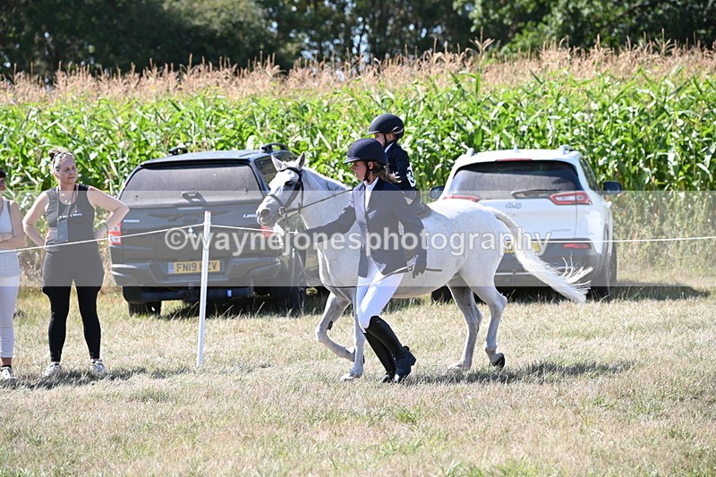 WJ6_8008 - Class 36 Lead Rein