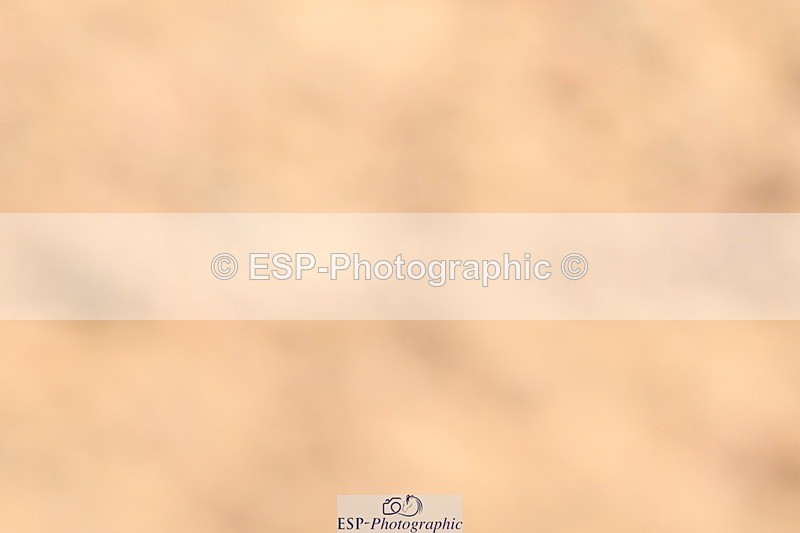 250621-111548-08209 - Cls 26 - Novice 5 Start to 12