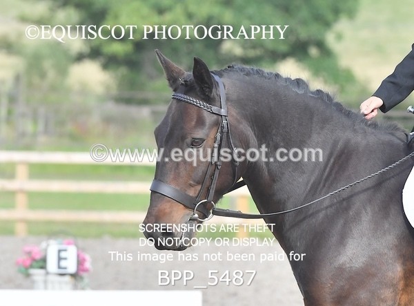 BPP_5487 - INTRO TEST 3