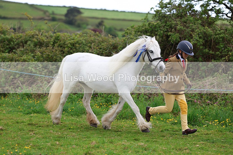 3E7A0766 - In Hand Championship