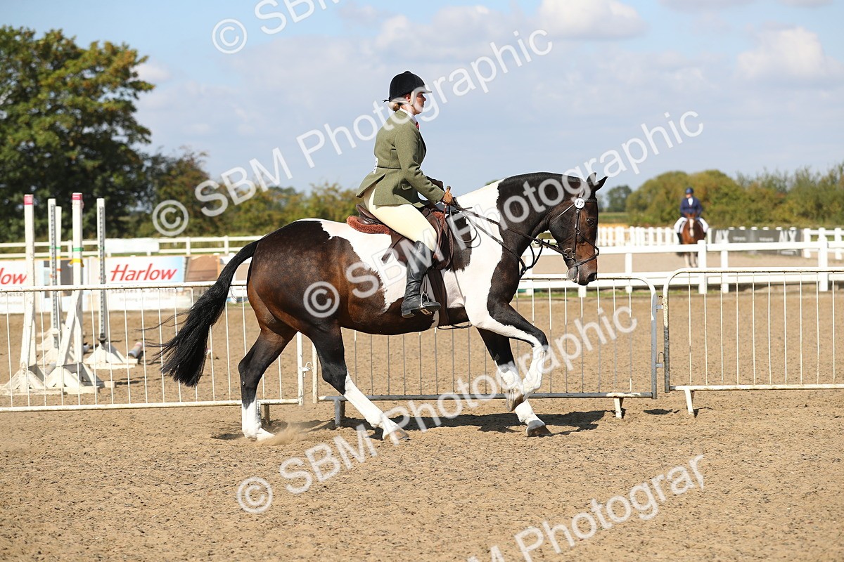SBM_03146 - Class 44 Riding Club Horse/ Pony