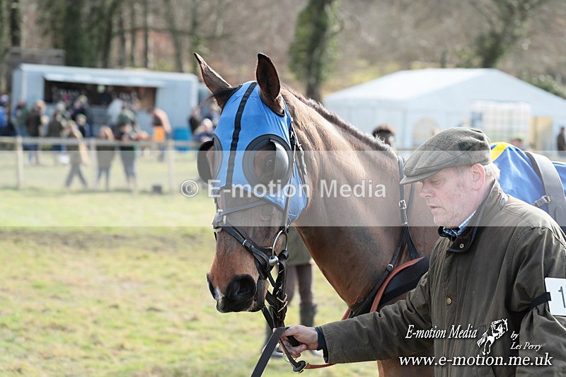 PtP 220225 620 - Kimblewick Point-to-Point  Kingston Blount 22/02/25