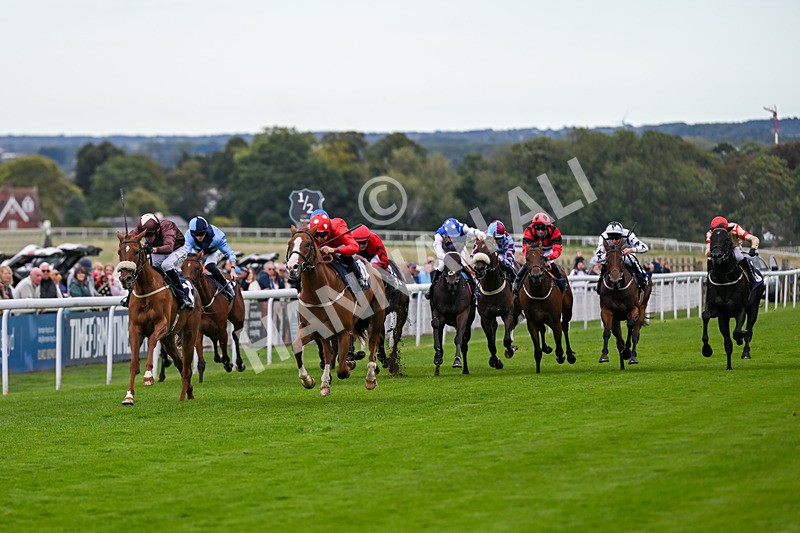 160926-Race 4-Woodvale-0624 - Race 4 3.48pm EBF Restricted Maiden Stakes