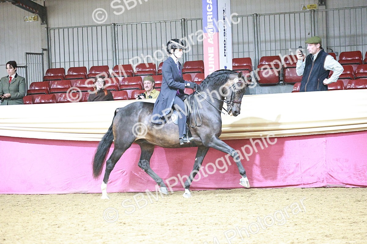 SBM_03344 - Class 6A Area Ridden Pre-Vet