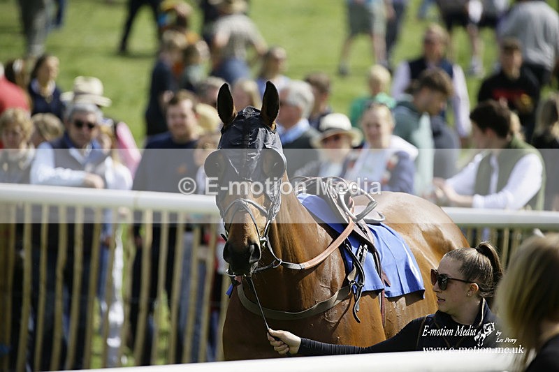 PtP 180422 26 - Old Berkshire PtP Lockinge 18/04/22