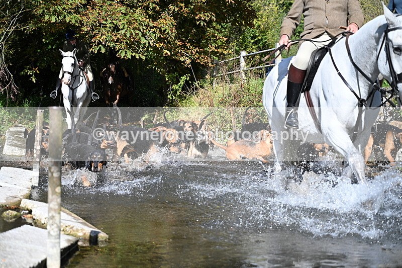 WJ7_5952 - Hounds Water Crossing