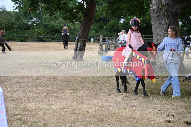WJ6_8948 - Class 11 Fancy Dress
