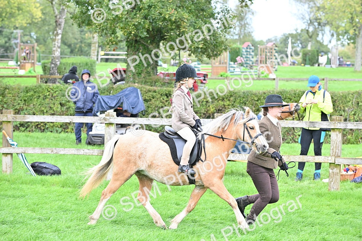 SBM_40117 - S20 - Lead Rein Mountain & Moorland Pony