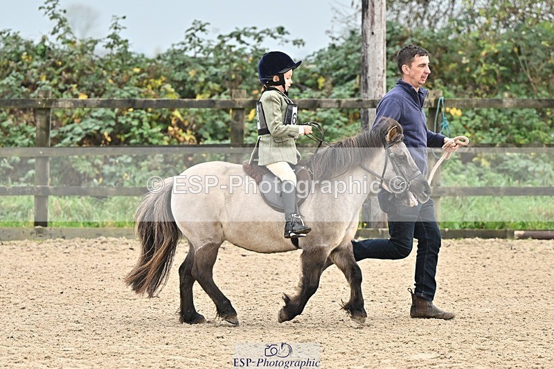 241110-102250-00282 - 40cm Showjumping