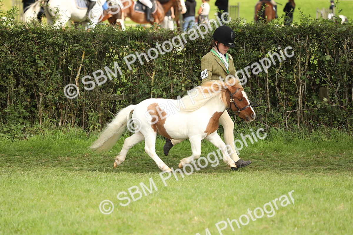 SBM_68522 - S40 - Junior Handler 9-12 Years