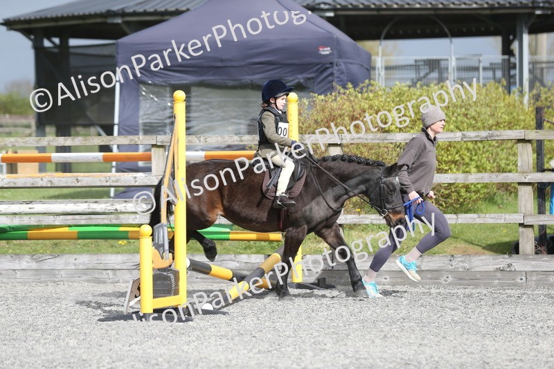 20260412-0129 - Show Jumping