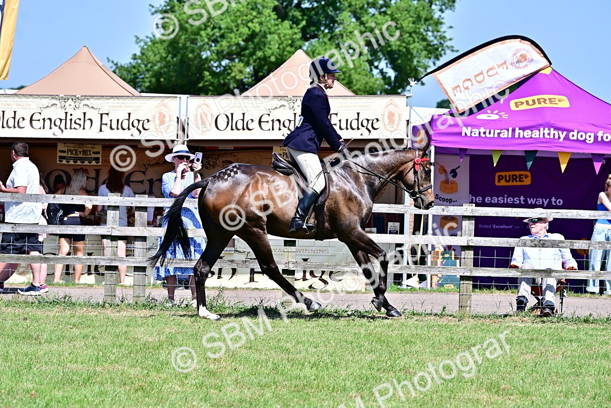SBM_18141 - Class 99-100 - Retraining of Racehorses Ridden