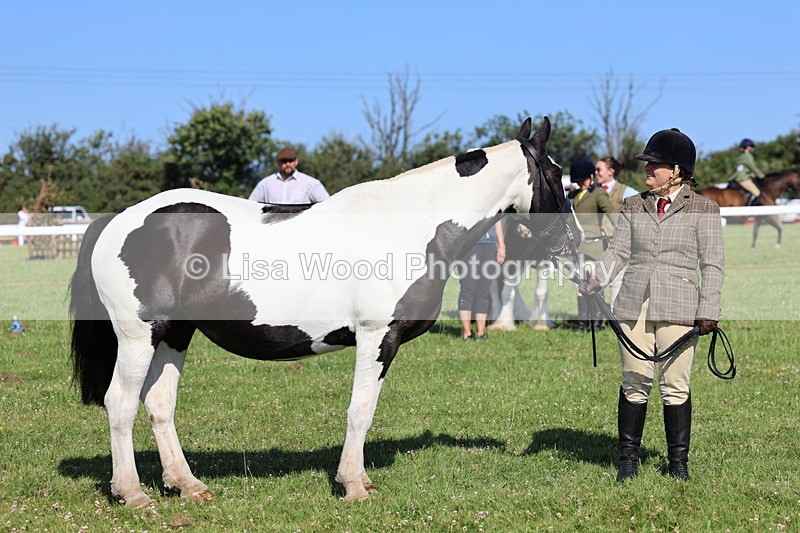 IMG_1588 - Class 30: Ridden Native/Trad Coloured Pony