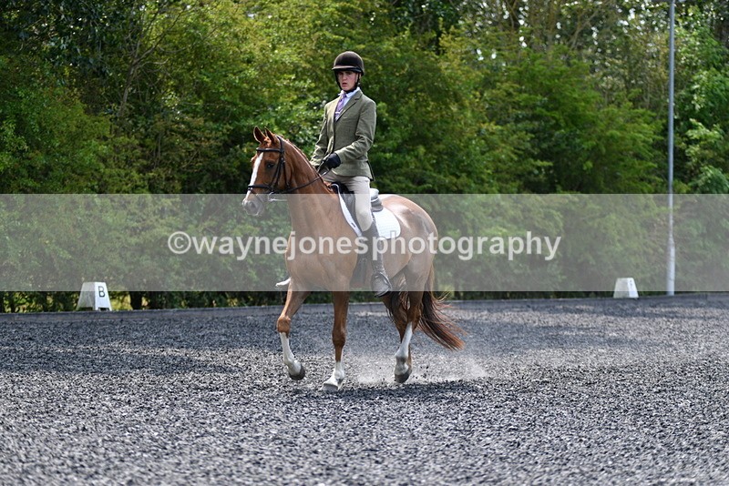 WJ5_9957 - Time 11:47 to 12:21