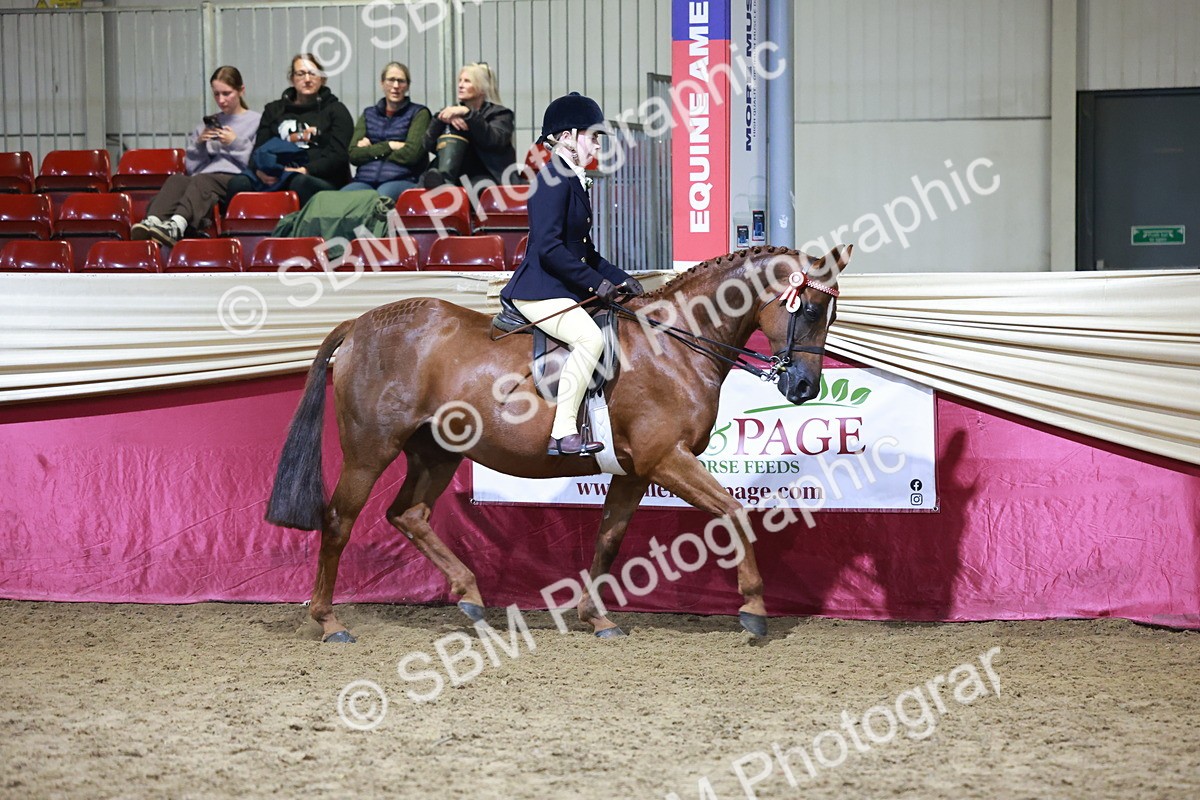 SBM_21217 - Class R - Veteran Champ