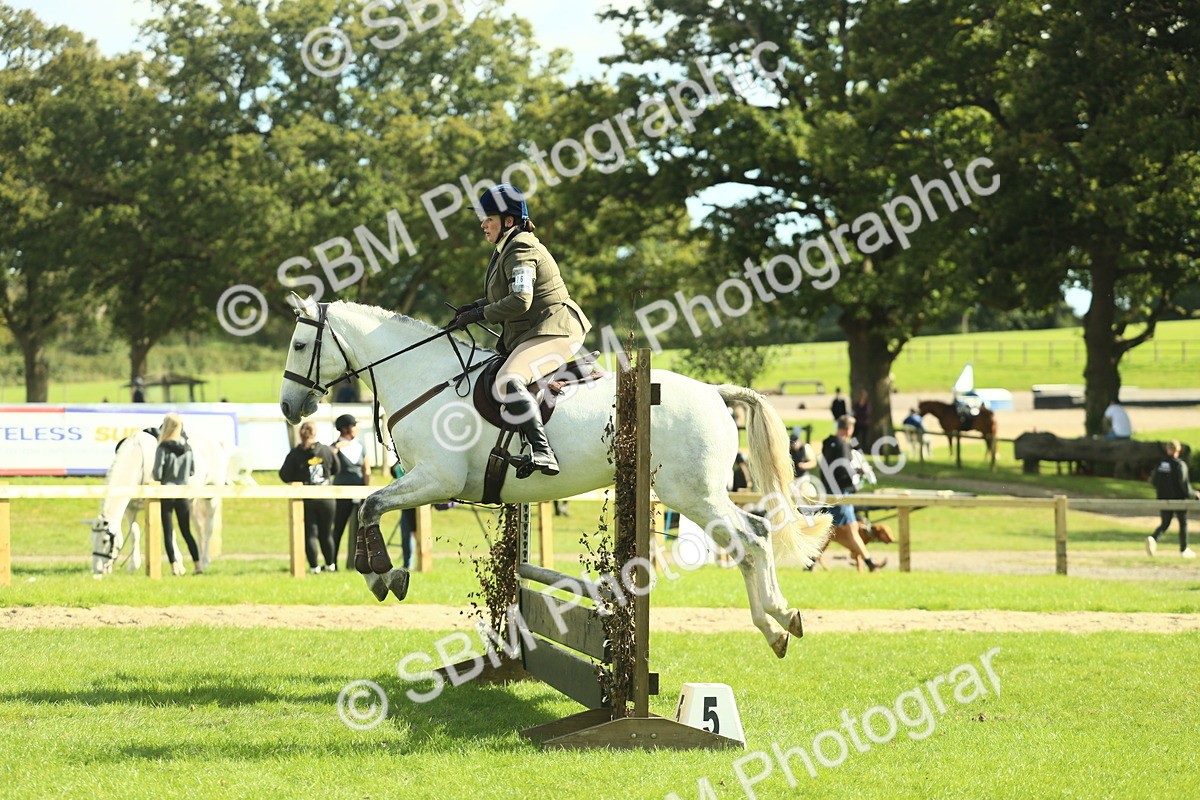 SBM_48057 - S32 - Novice & Newcomers Working Hunter
