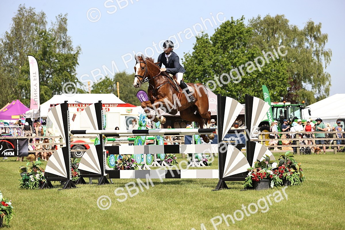 SBM_03292 - Class 201 - British Horse Feedds Speedi Beet HOYS Grade C