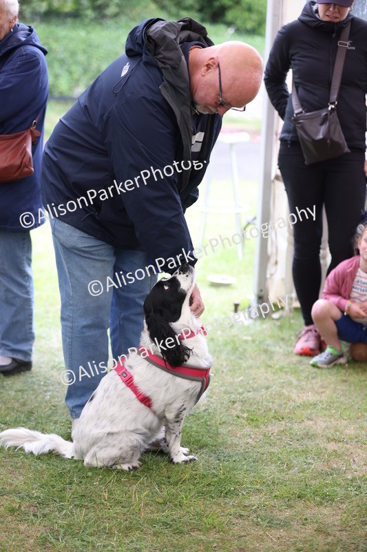 20250607-0401 - Class 10 - Golden Oldie