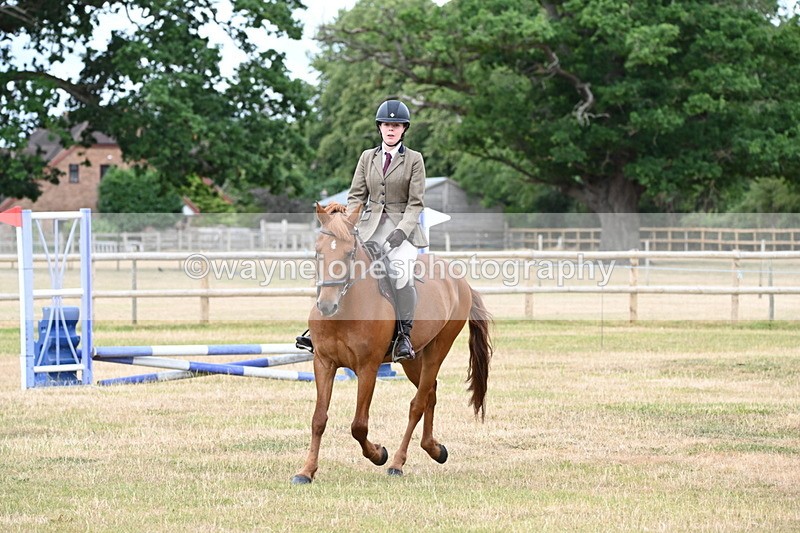 WJ6_3939 - Class 9 Tack & Turnout