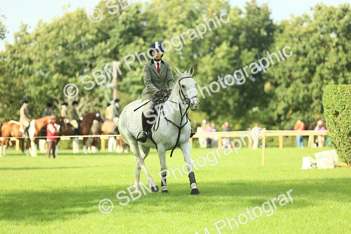 SBM_47922 - S32 - Novice & Newcomers Working Hunter