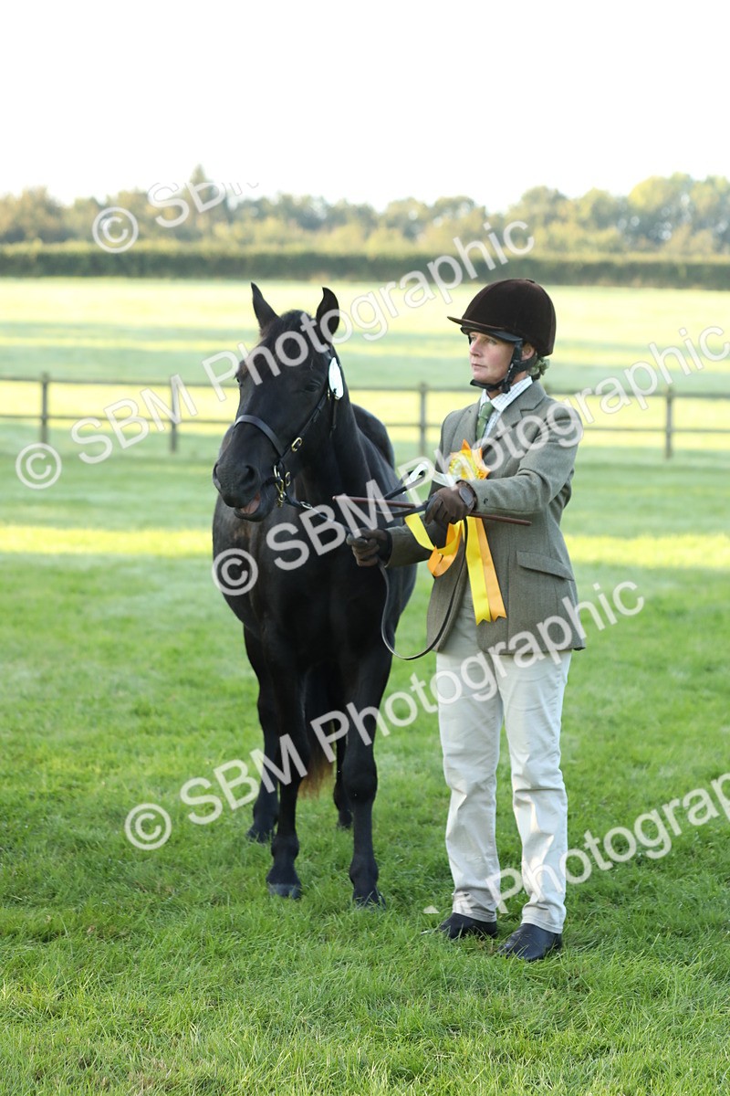 SBM_57874 - S42 - Youngstock