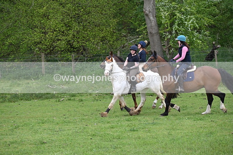 WJ6_3136 - A camera