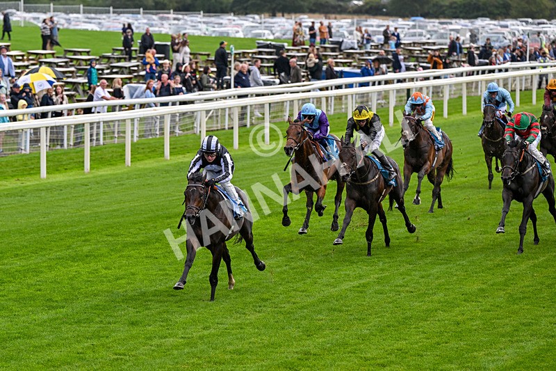 060926-Race 1-Mezzo Forte-0031 - Race 1 1.30pm Irish Thoroughbred Marketing 'Confined' EBF Maiden Stakes