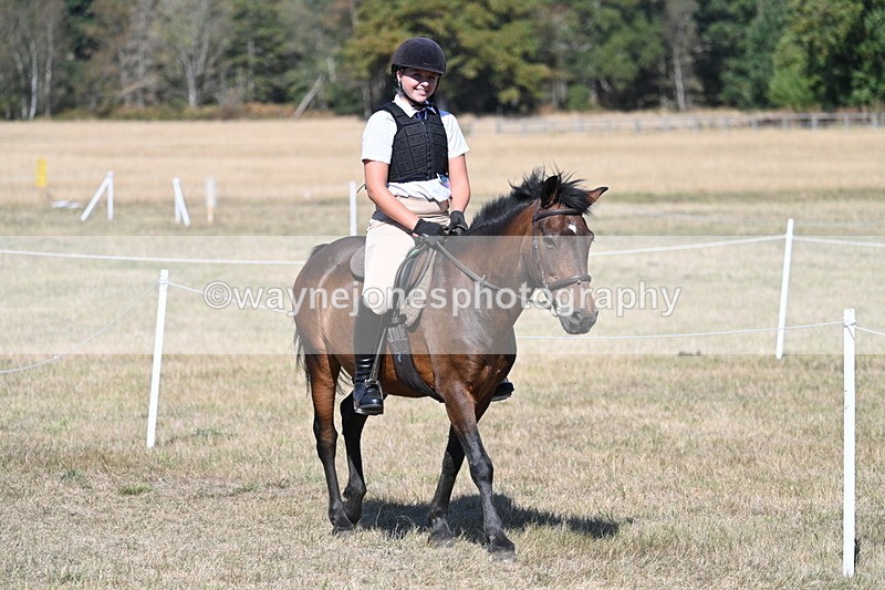 WJ7_1453 - Class 42 Most Handsome Gelding