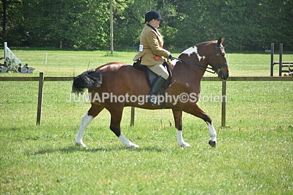 DSC_9253 - Rings 1 & 2