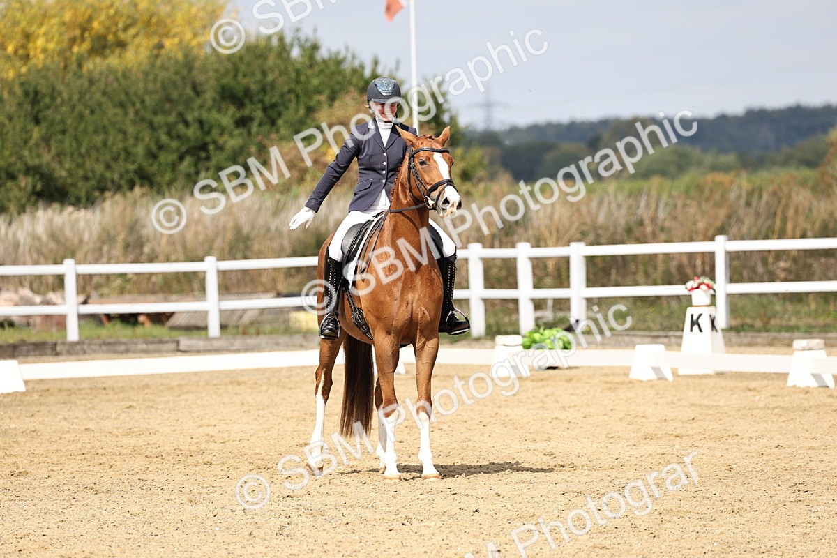 SBM_018341 - Class 16 - Novice 5 - 11.12-12.01