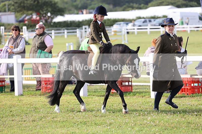 JPP_0185 - Class 14: Cornish Combination Leading Rein