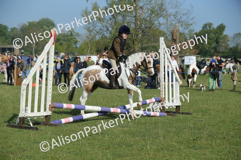 20250427-0818 - Class 1 - Mini Jumping Lead Rein or Assisted