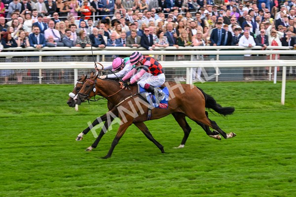 230825-Race 2-Tarriance-0038 - Race 2 2.25pm Sky Bet Melrose Handicap