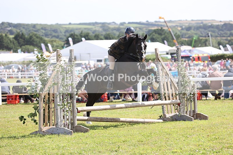 JPP_2219 - Class 19: Working Hunter 60cm